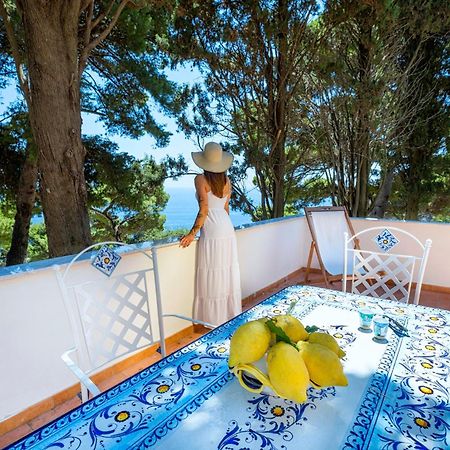 Casa Schiattarella Capri Ξενοδοχείο Εξωτερικό φωτογραφία