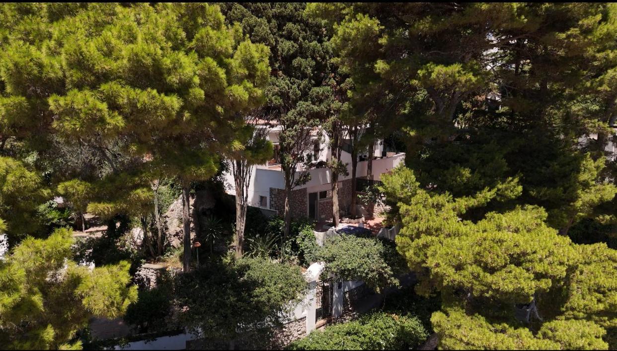 Casa Schiattarella Capri Ξενοδοχείο Εξωτερικό φωτογραφία